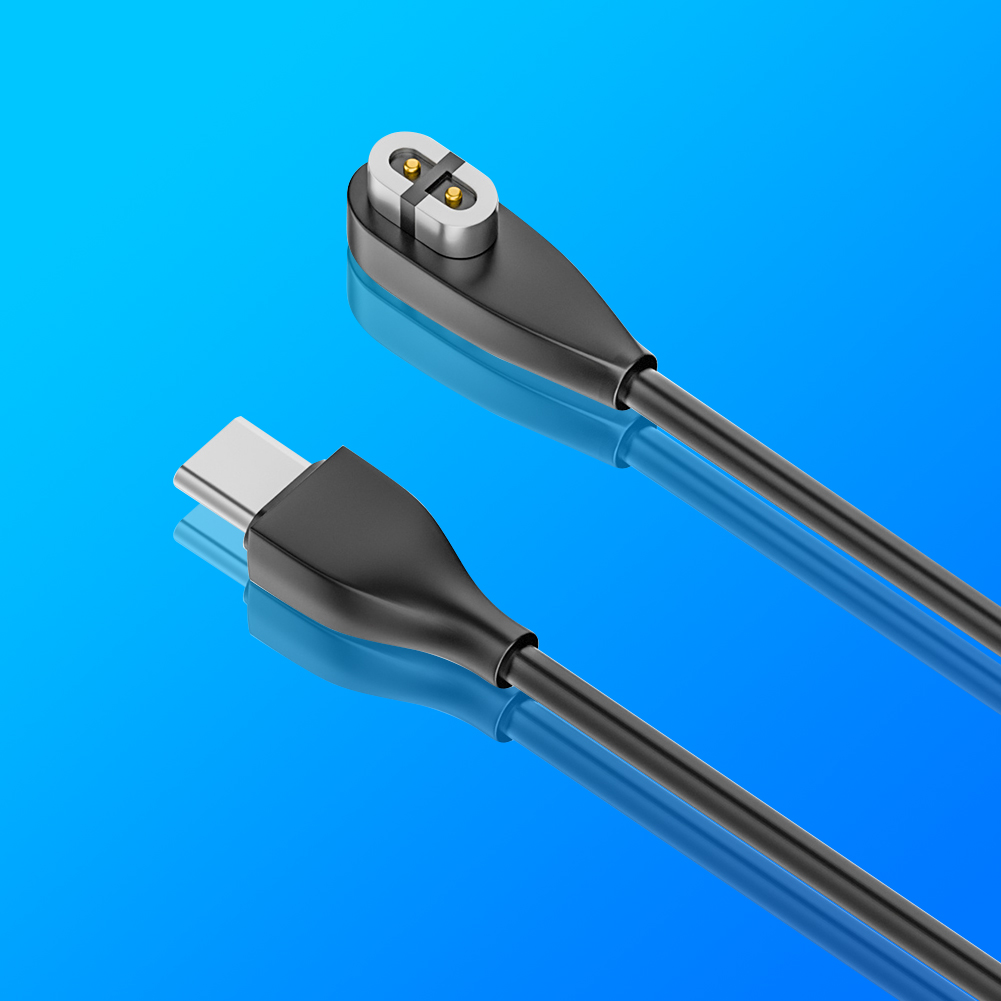 Magnetic Charger USB/Type-C Ch - Skyrc B6 Neo Smart Charger 评论和价格